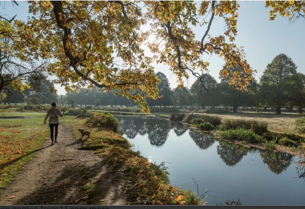 Turing Lodge, Near Hampton Court 外观 照片